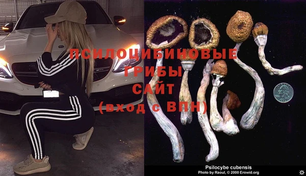 бошки Бородино