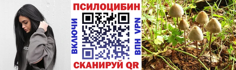 мега ссылки  Раменское  Псилоцибиновые грибы мухоморы 